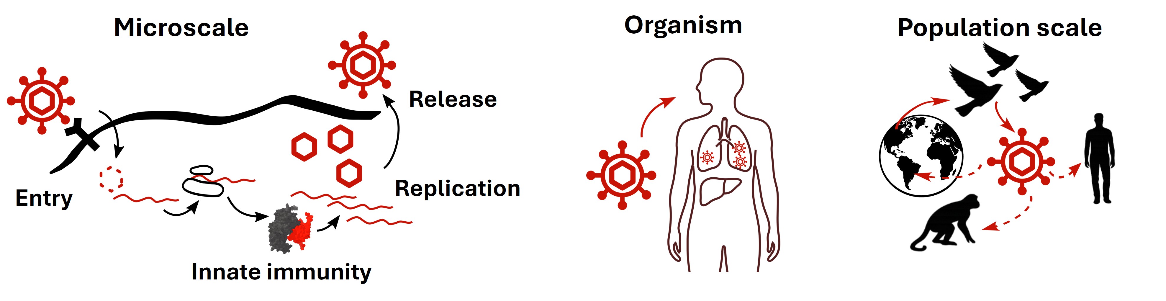 virus-host interactions at scale